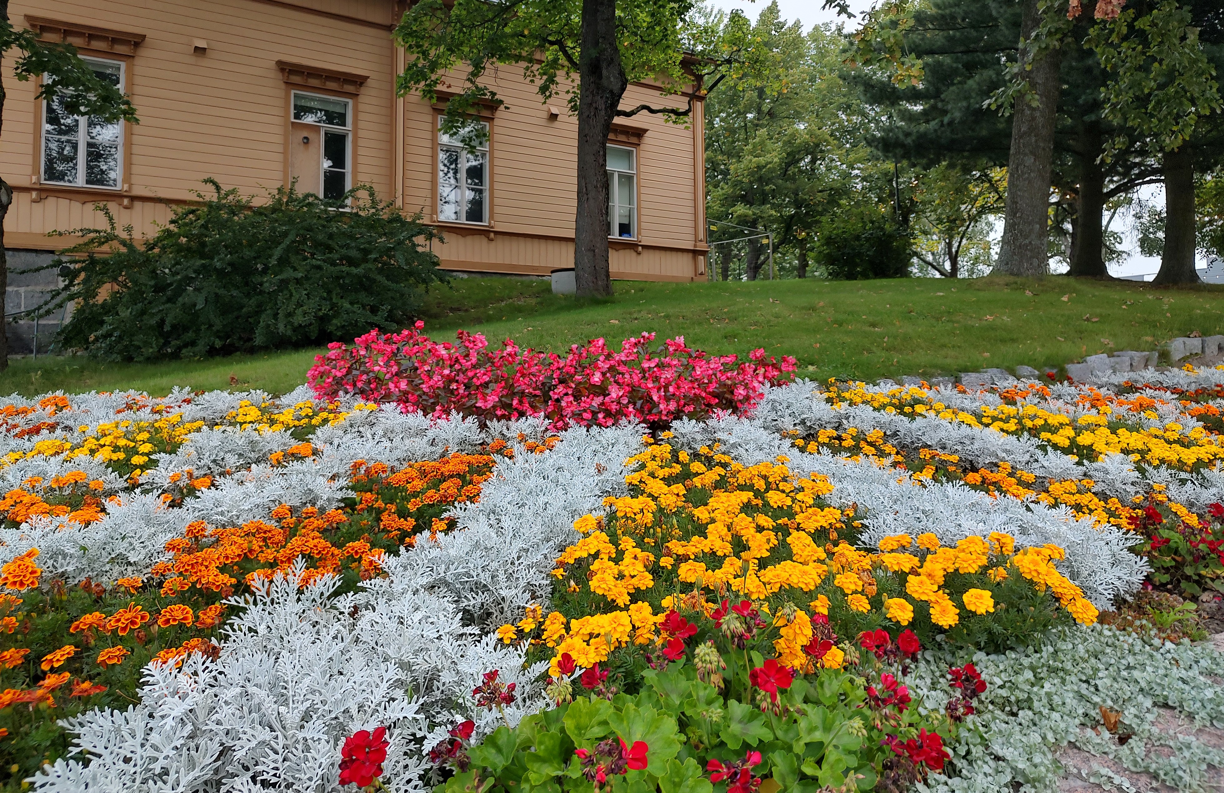 kukkia