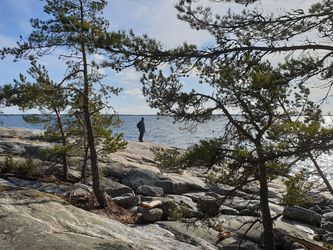 Pamprinniemellä meren rannalla