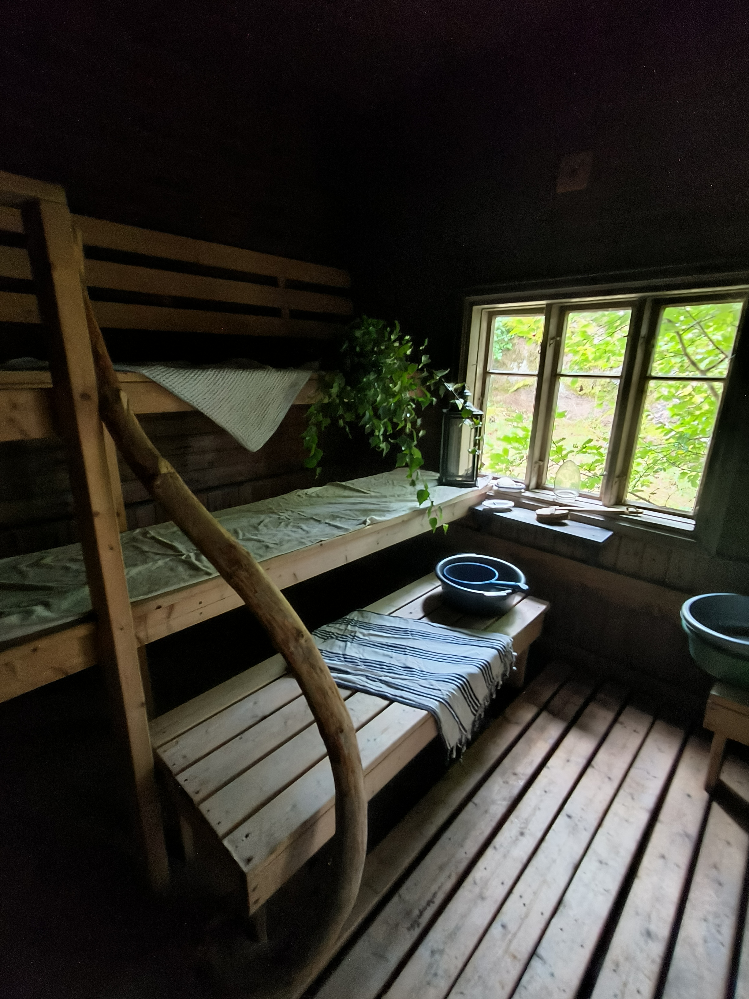 Harjulan pihasauna, Vehmaa