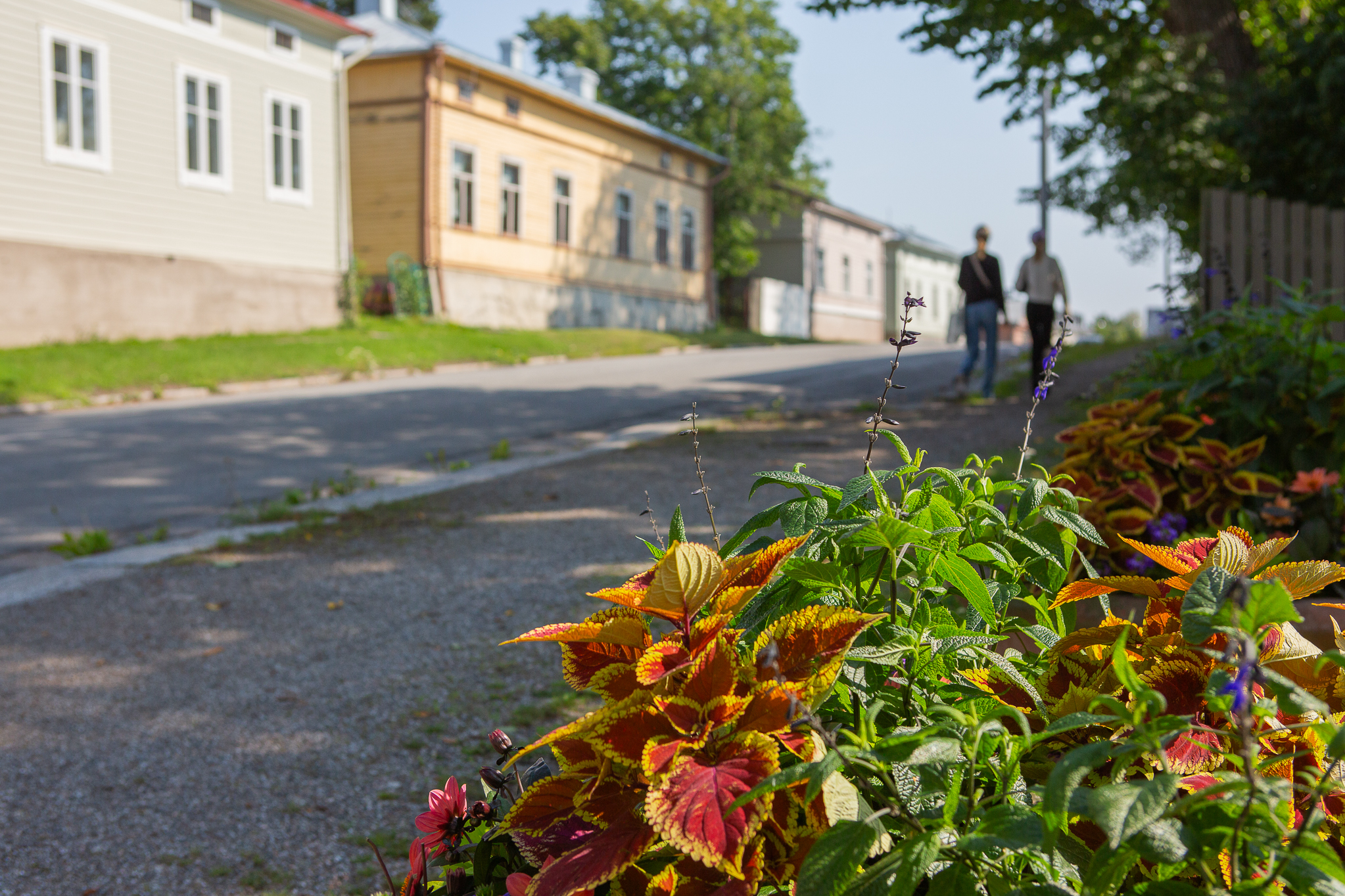 Tytöt kävelevät puutalokadulla, kukat etualalla.