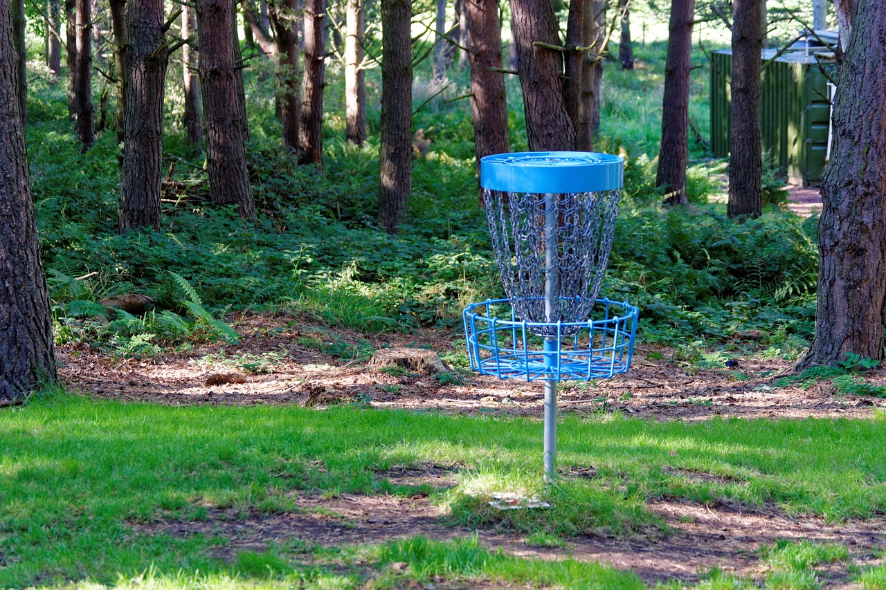 frisbee golf