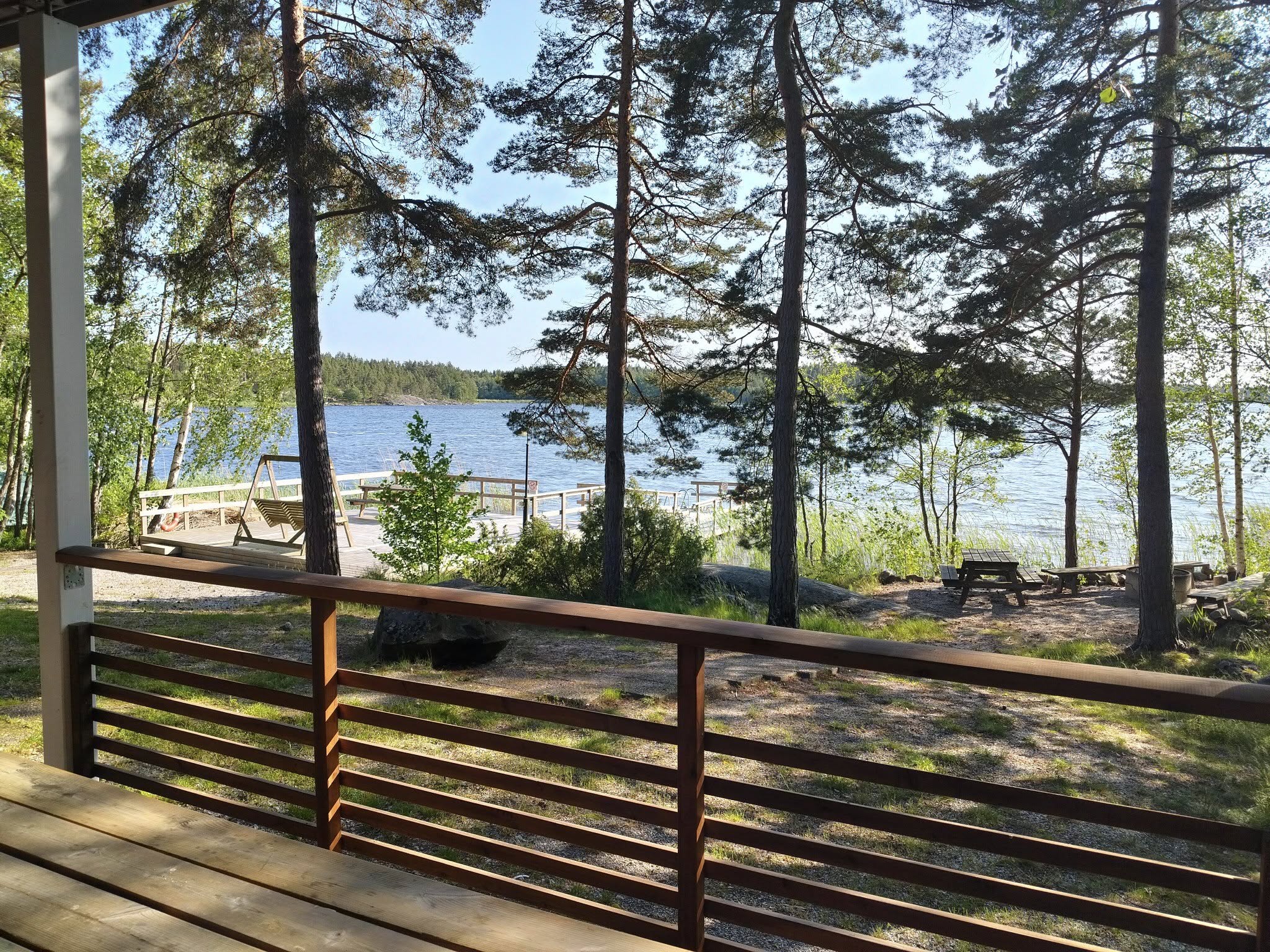 metsälehto