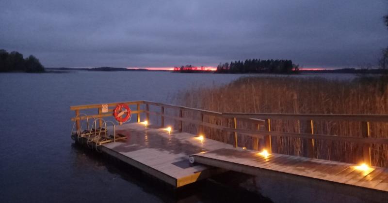 metsälehto