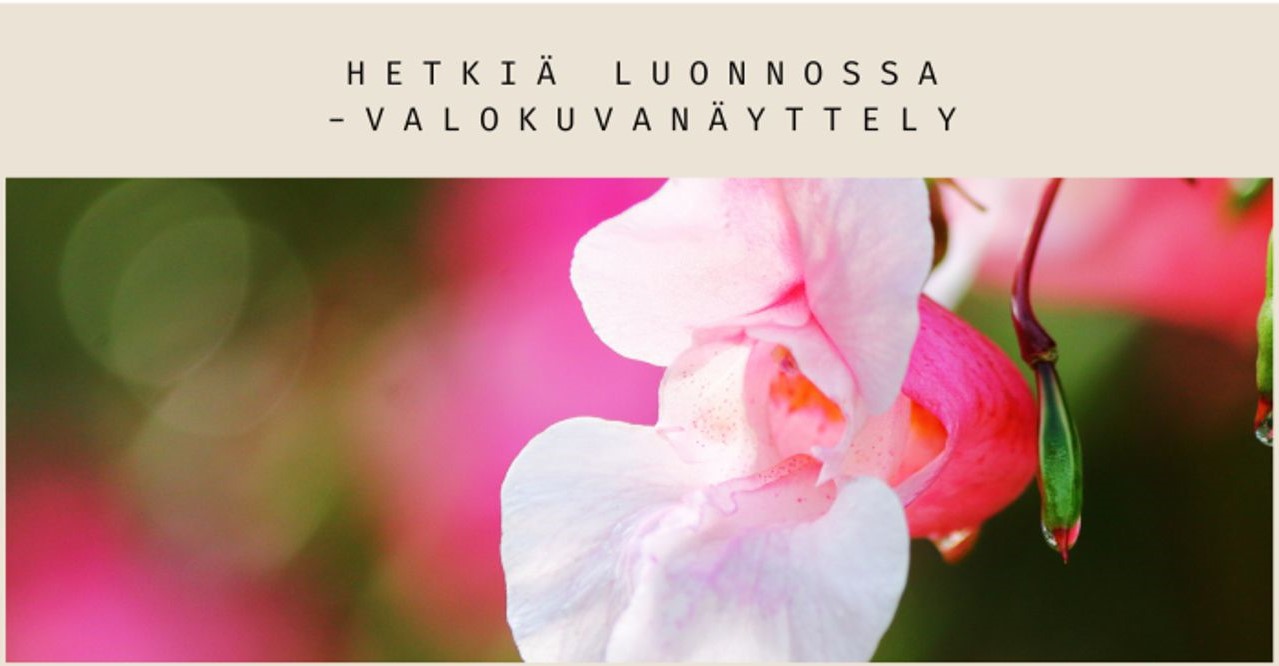 Tiia Kopsa