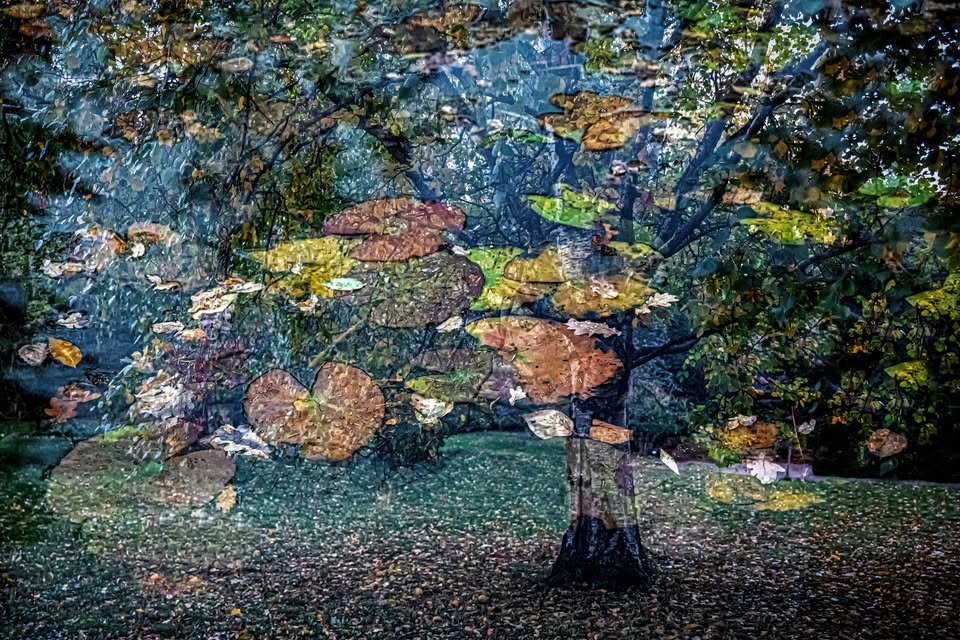 Unien maailma näyttely