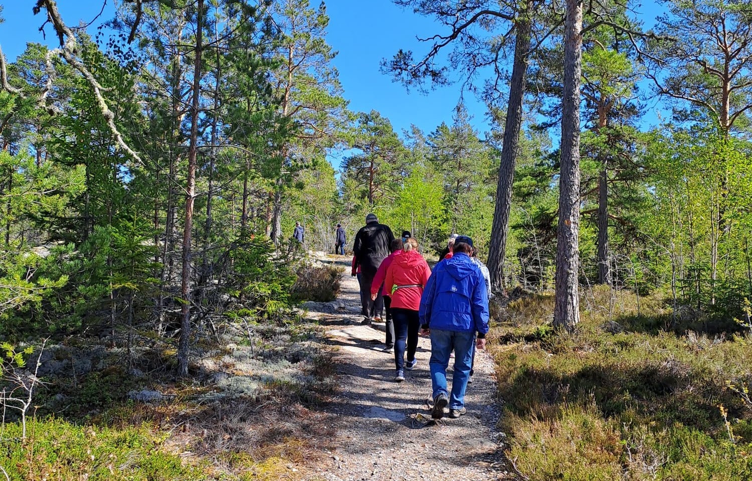 kävelylenkki