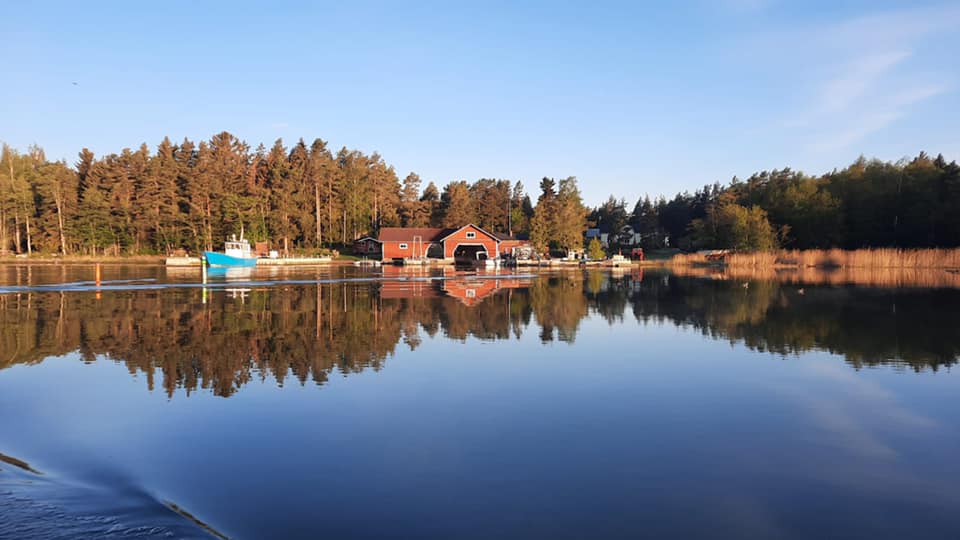 Vasikmaa