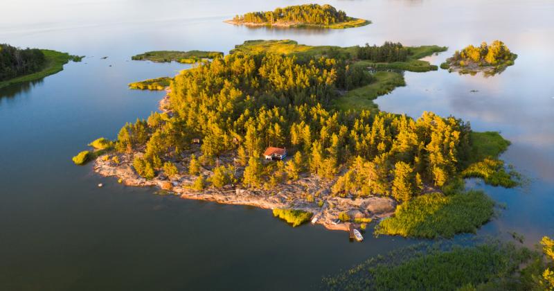 ykspetäjäinen