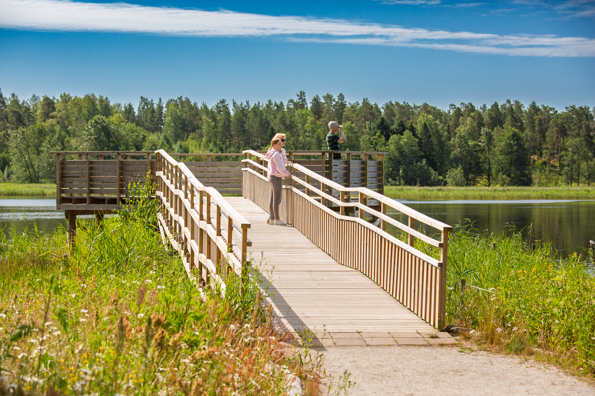 Kasarminlahden lintulava