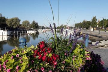 Kaupunginlahden ranta