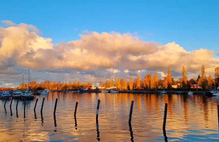 Kaupunginlahti lokakuussa