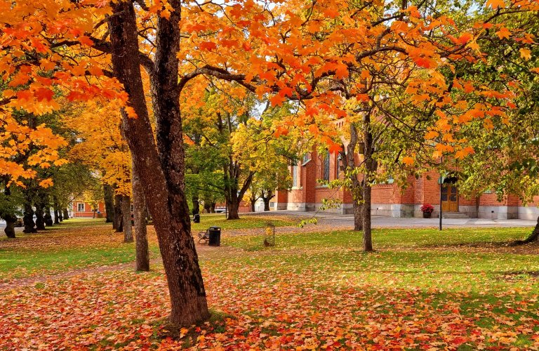 Ruskaa kirkkopuistossa