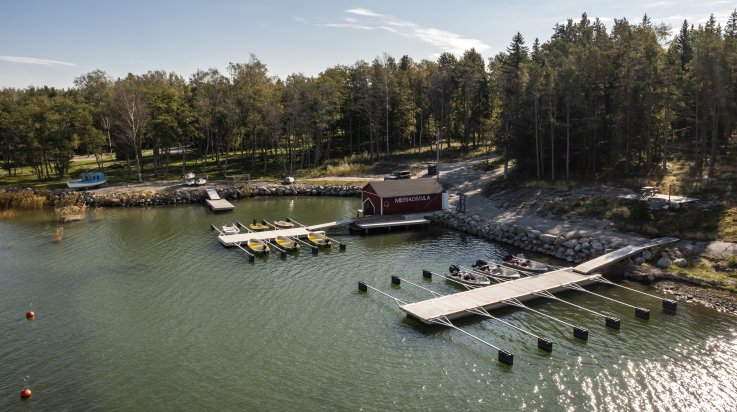 Villa Merikoivulassa