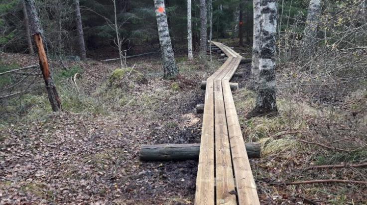 Hiujärvi nature trail