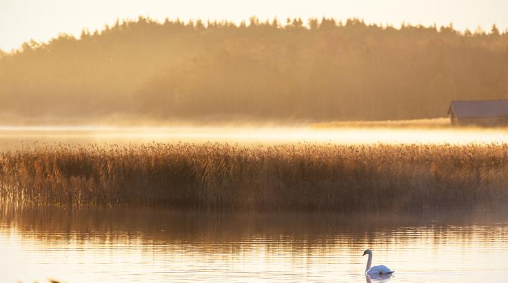 Uudenkaupungin meriluontoa