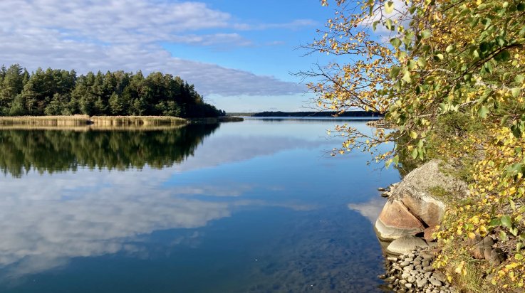 Merimaisema Pyhämaassa