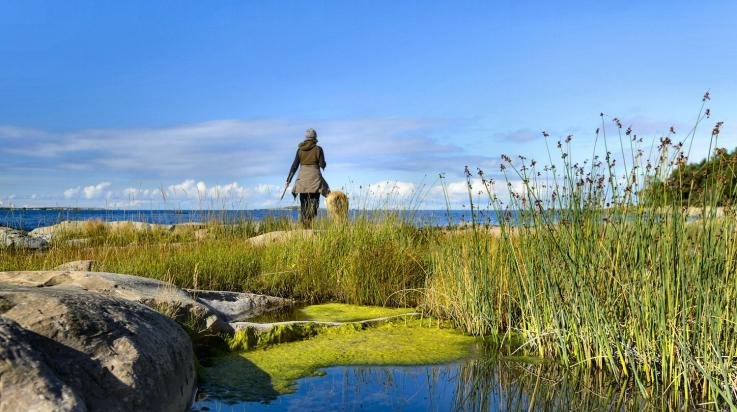 katanpaan linnakesaari