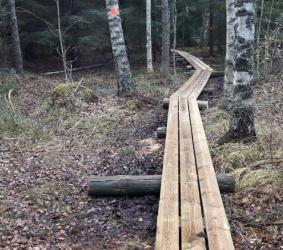 Hiujärvi nature trail