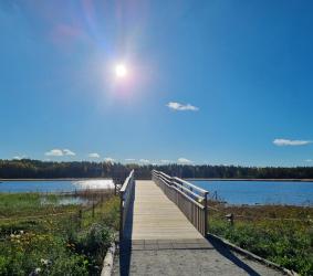 Kasarminlahden esteetön luontopolku ja lintulava | Visit Uusikaupunki