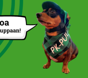 Pk-Puu