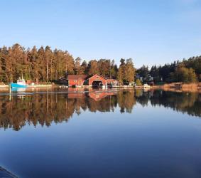 vasikmaa