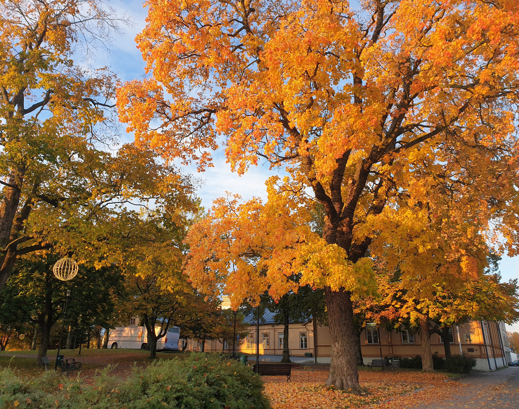 Aamuruska kirjastonpuisto