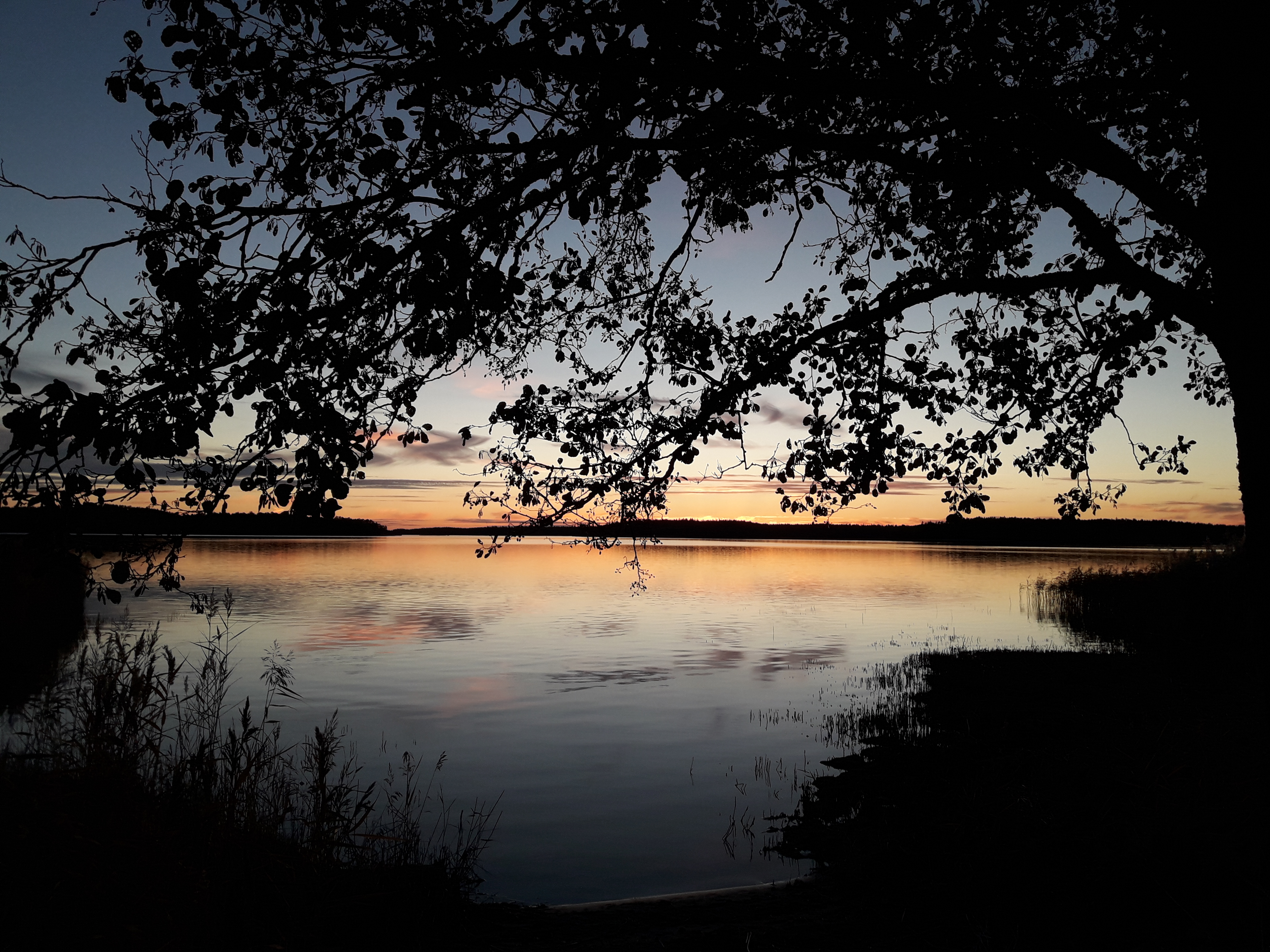 Auringonlasku