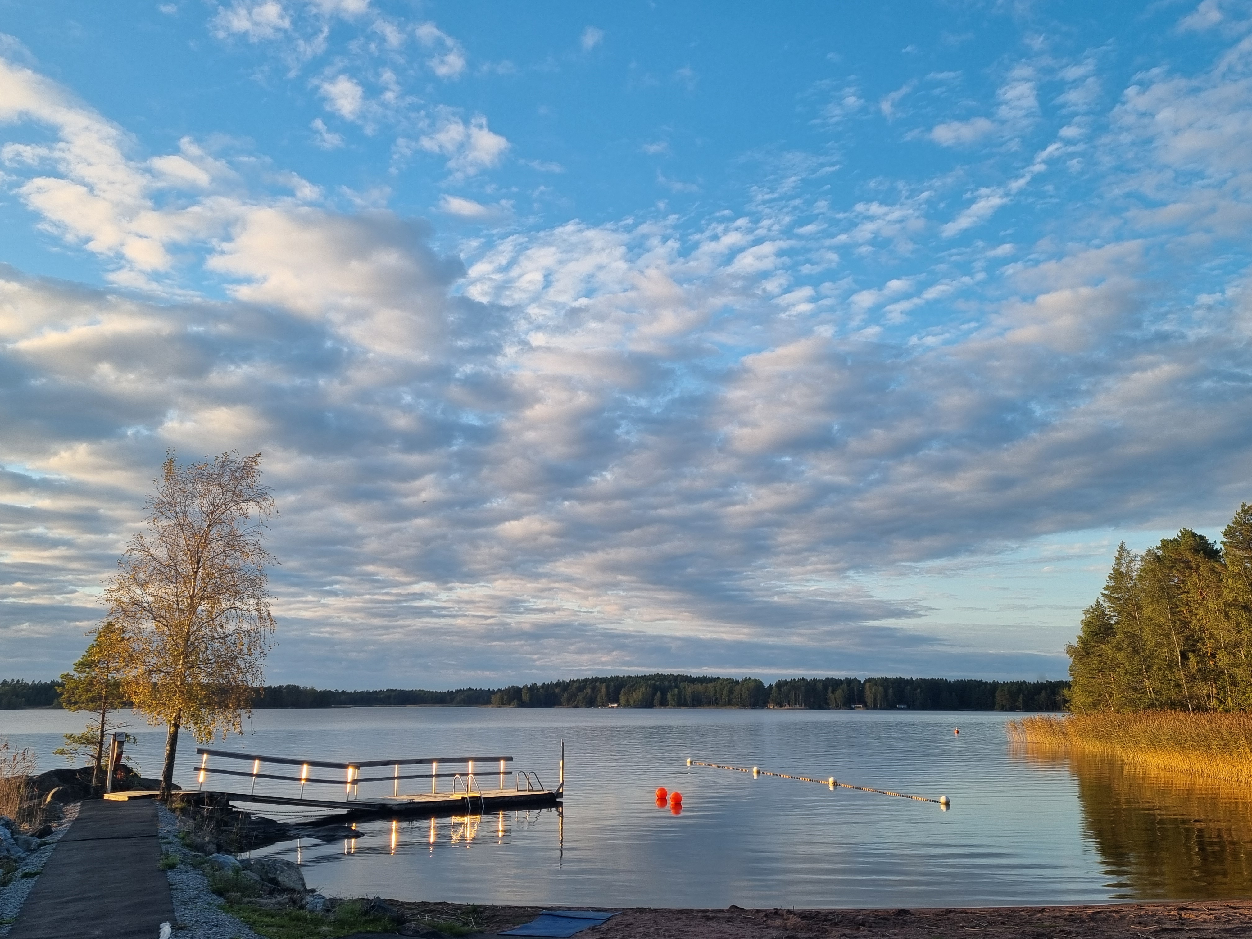 Haimion vapaasaunan laituri