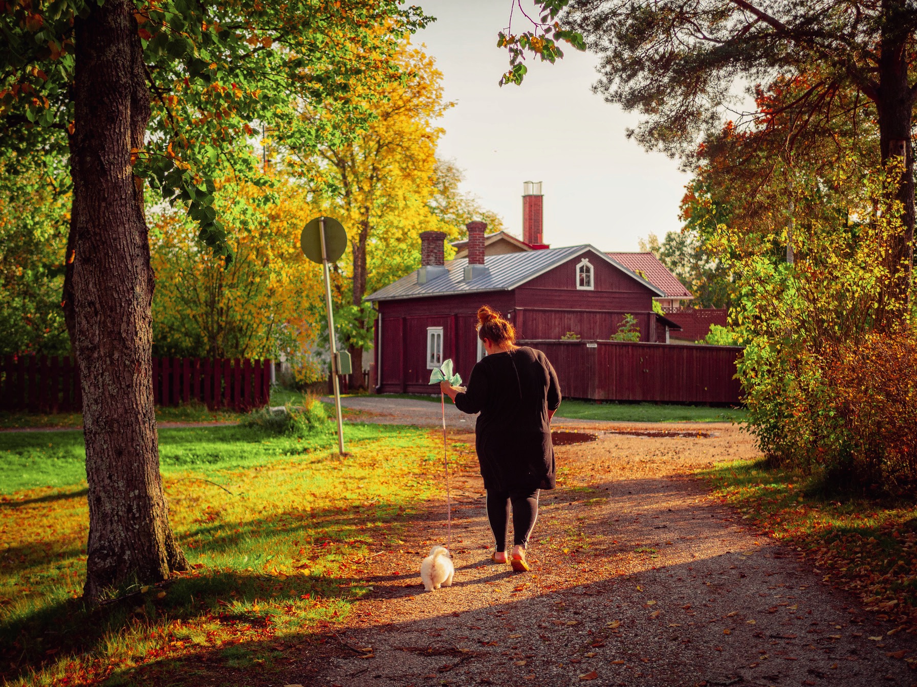 Syksyinen Myllymäki.
