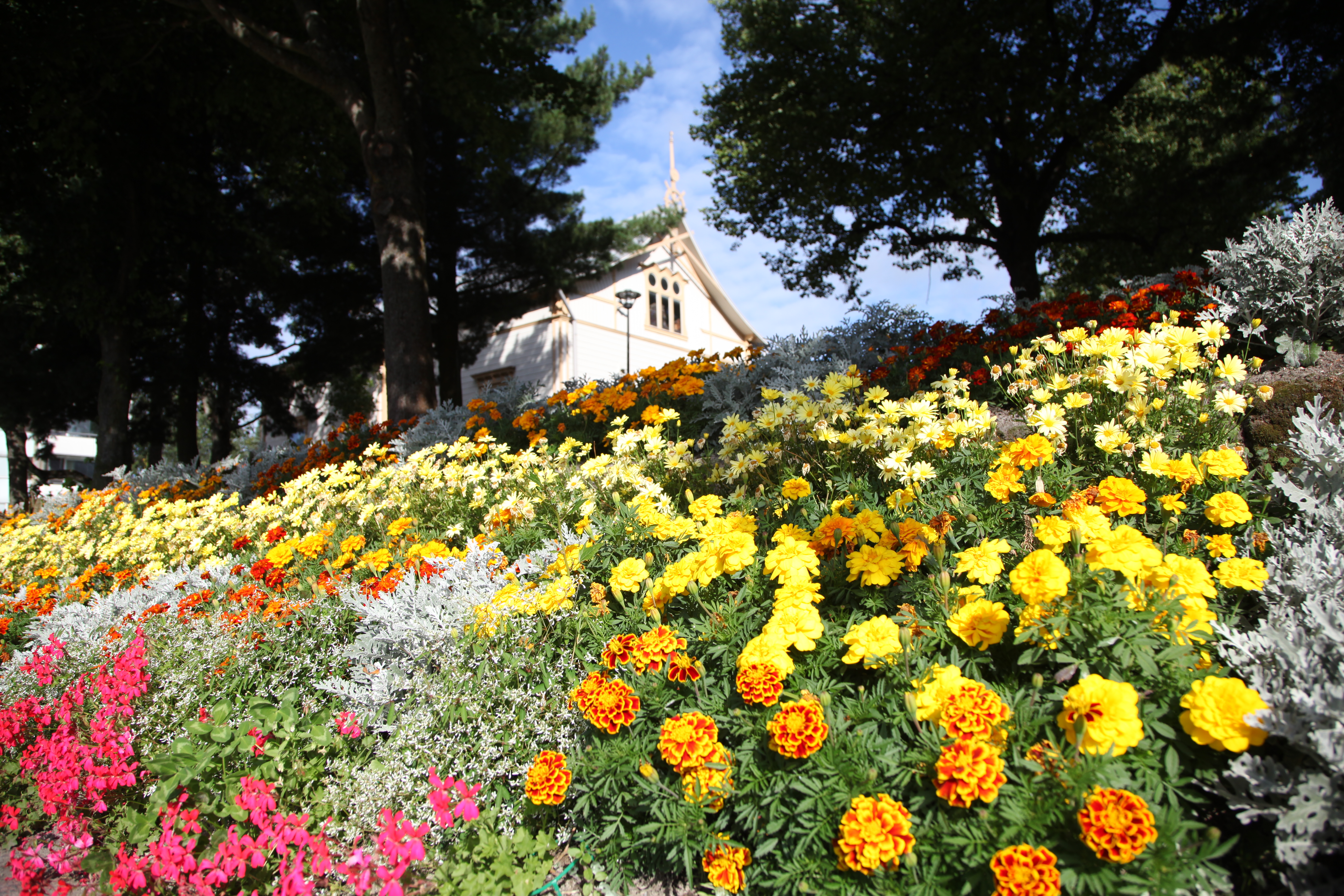 Rantakadun kukkaistutuksia