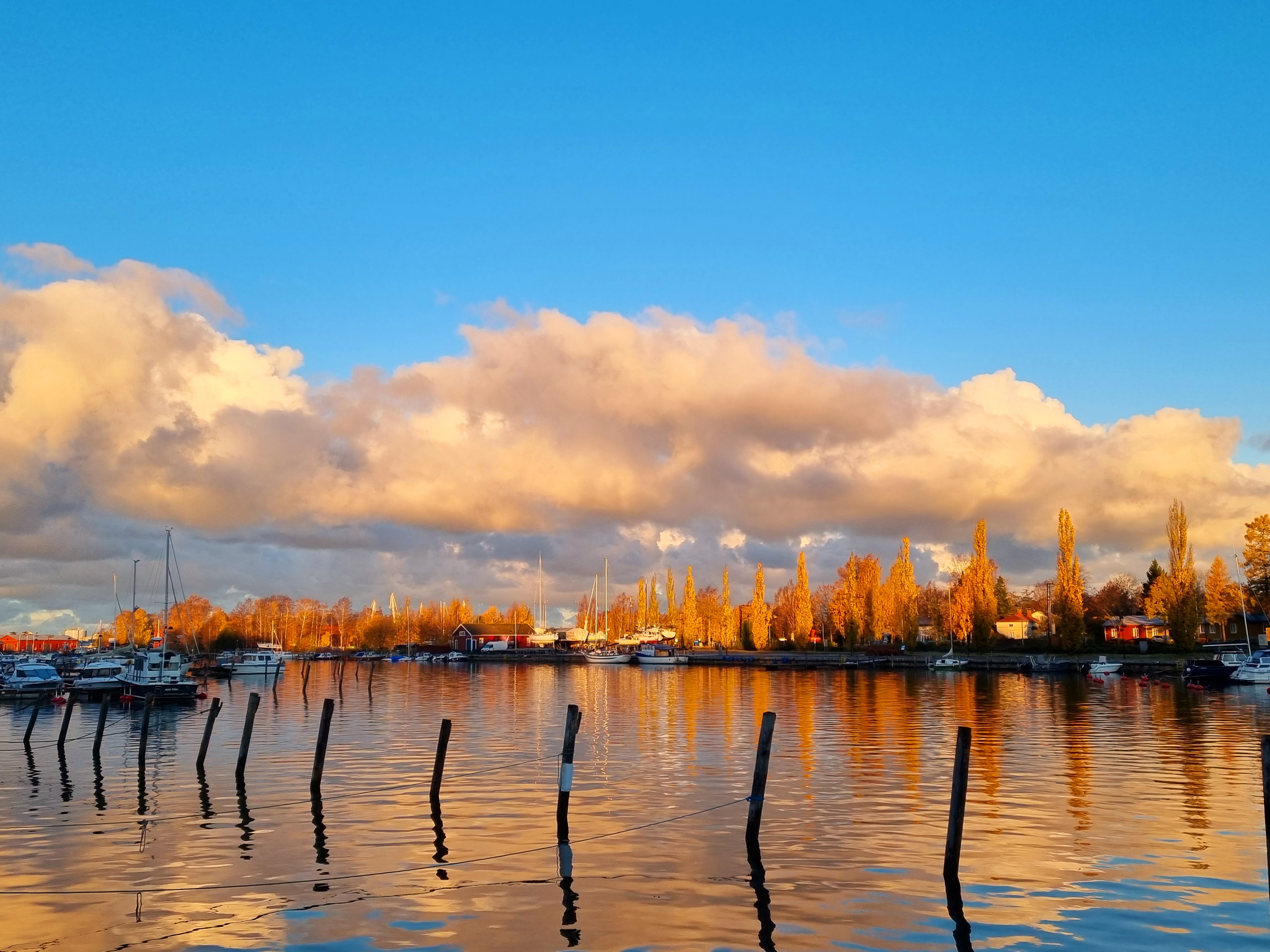 Kaupunginlahti