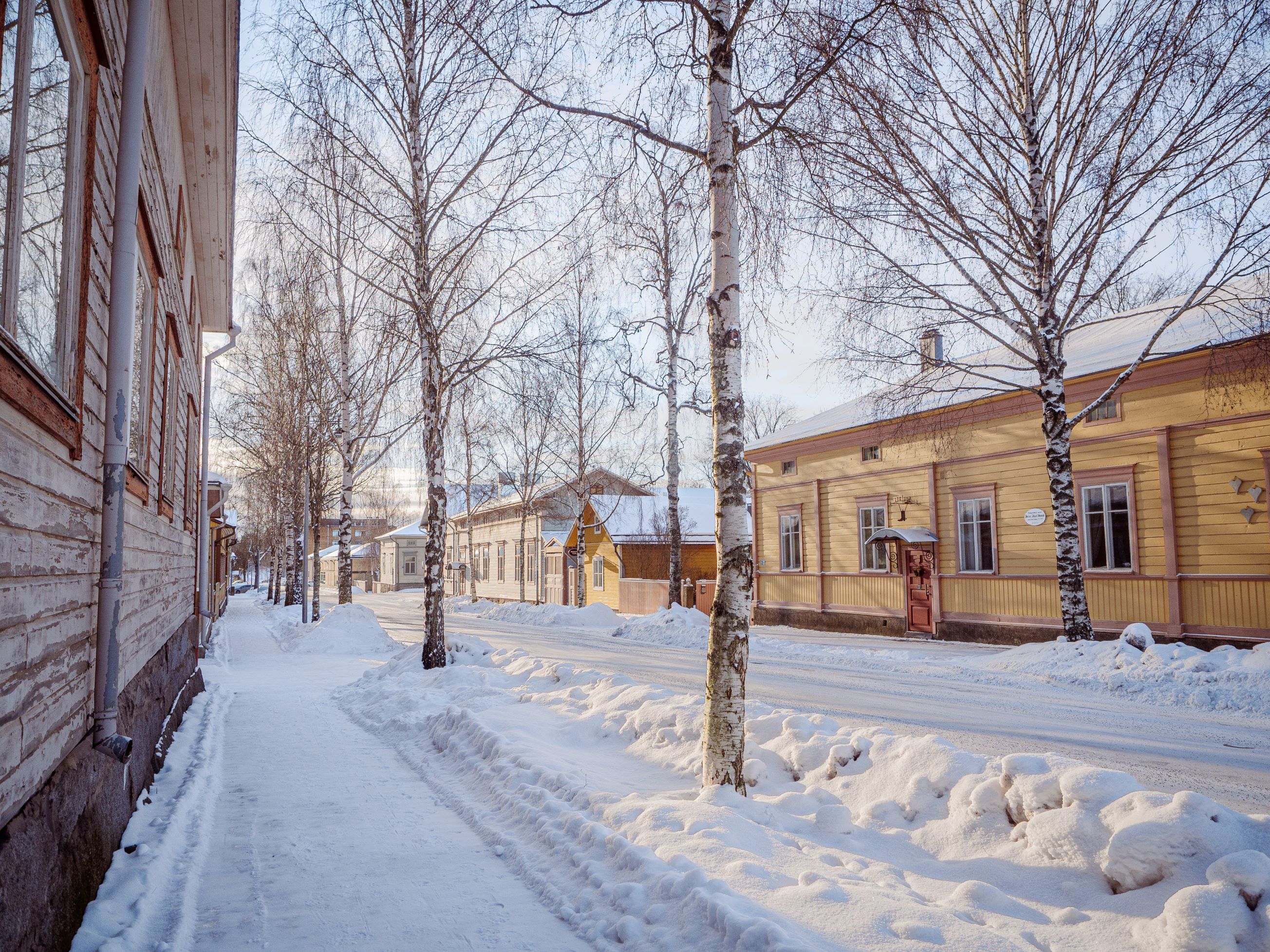 Talvisia puutaloja