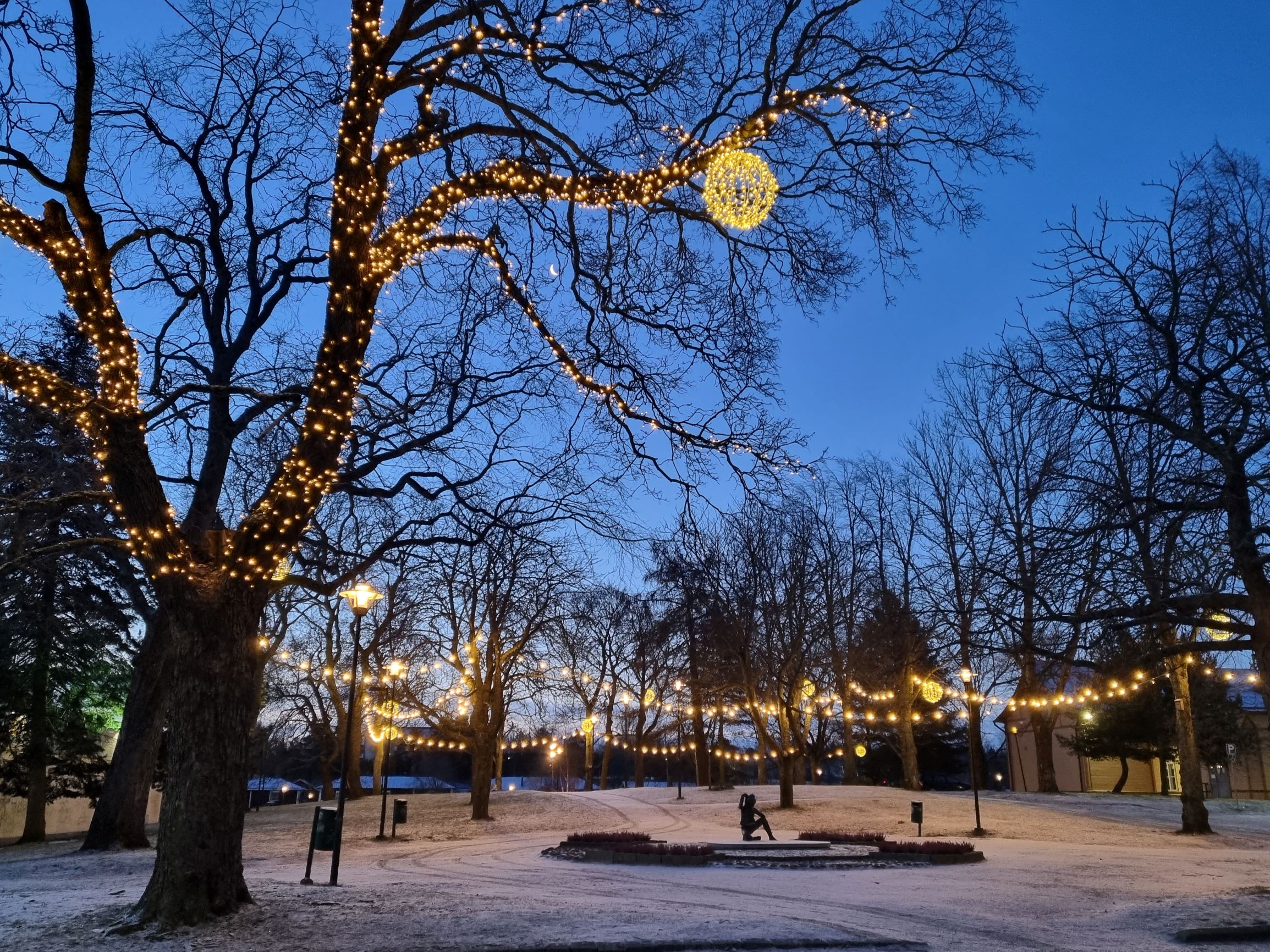Rauhanpuisto