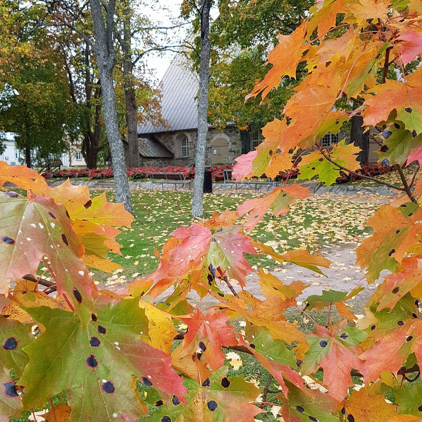 Vanha kirkon piha syksyllä