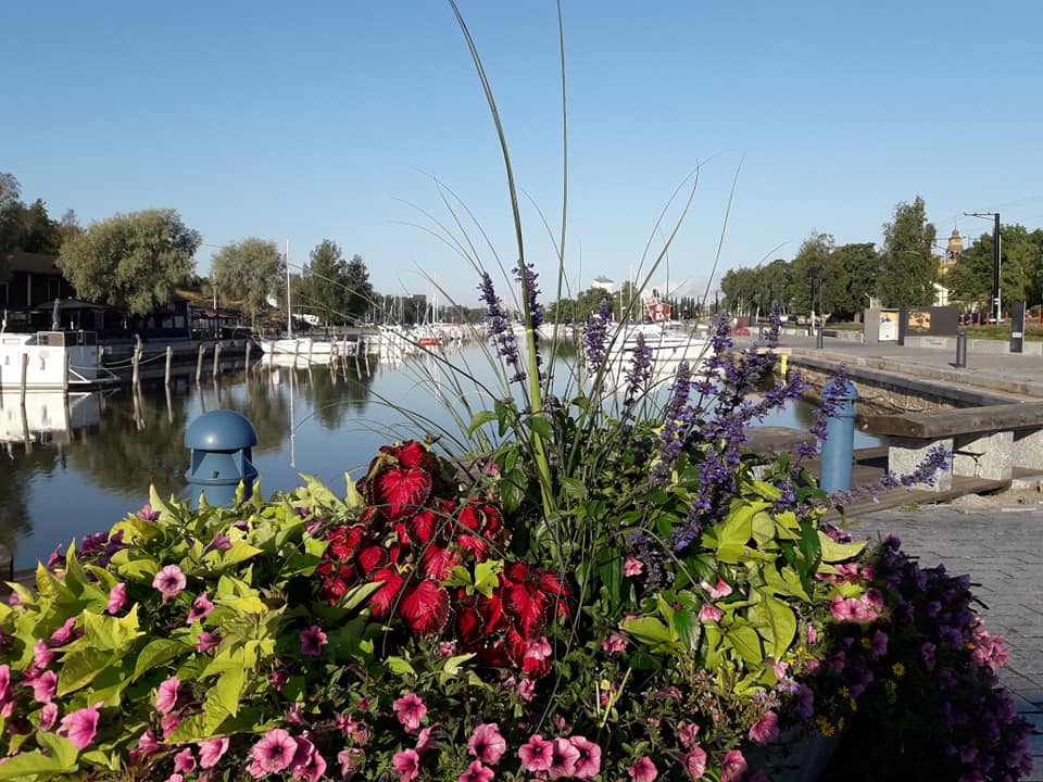 Kaupunginlahden ranta